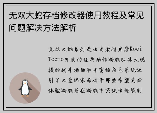 无双大蛇存档修改器使用教程及常见问题解决方法解析